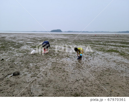 干潟 海 夏休み 67970361