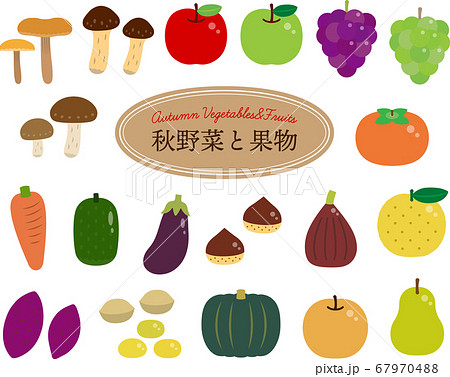 秋野菜と果物のイラスト シンプルver のイラスト素材