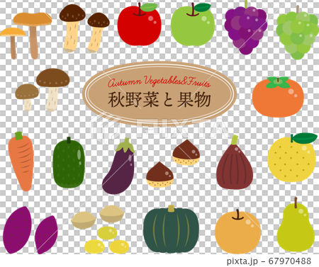 秋野菜と果物のイラスト （シンプルver.） 67970488