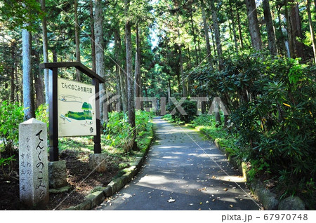大雄山最乗寺　てんぐのこみち 67970748