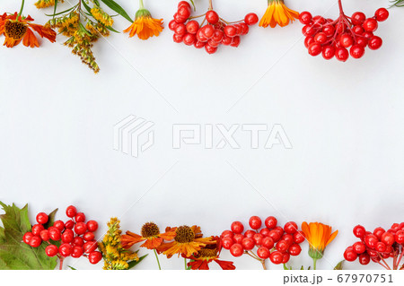 Autumn floral composition. Frame made of autumn Autumn floral composition. Frame made of autumn 67970751