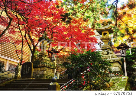 大雄山最乗寺の瑠璃門前石段と紅葉 67970752