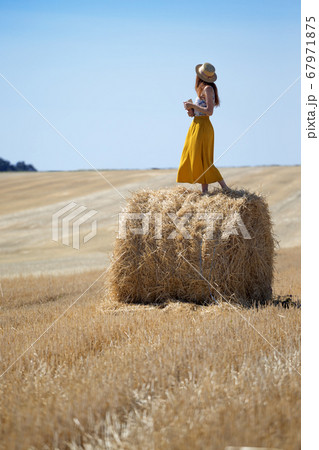Round Bales at the field Round Bales at the field 67971875