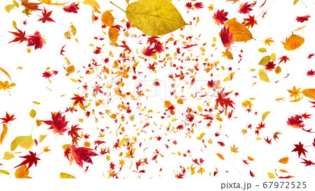 紅葉 落葉 秋 オータム 舞う 葉 エコロジー 緑 Cg 3d イラスト 背景 バックグラウンドのイラスト素材