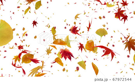 紅葉 落葉 秋 オータム 舞う 葉 エコロジー 緑 Cg 3d イラスト 背景 バックグラウンドのイラスト素材