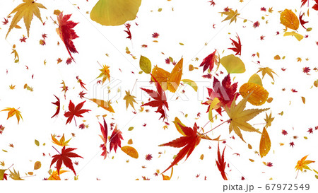 紅葉 落葉 秋 オータム 舞う 葉 エコロジー 緑 Cg 3d イラスト 背景 バックグラウンドのイラスト素材
