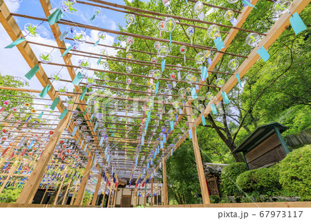 正寿院 夏の風鈴まつり 正寿院 夏の風鈴まつり 67973117