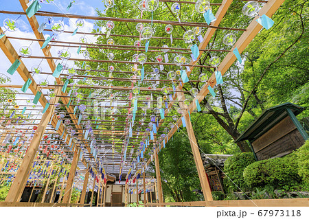 正寿院　夏の風鈴まつり 67973118