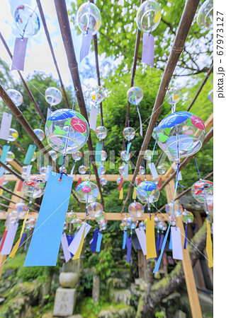 正寿院 夏の風鈴まつり 正寿院 夏の風鈴まつり 67973127