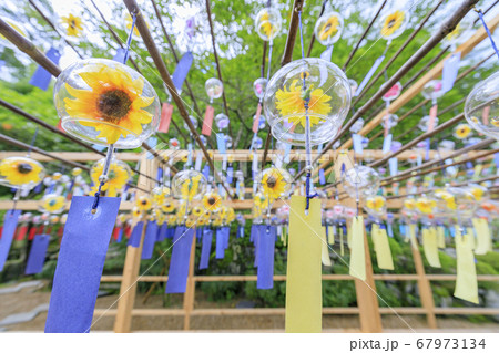 正寿院 夏の風鈴まつり 正寿院 夏の風鈴まつり 67973134