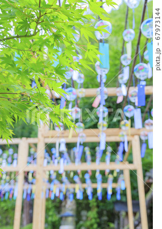 正寿院 夏の風鈴まつり 正寿院 夏の風鈴まつり 67973144
