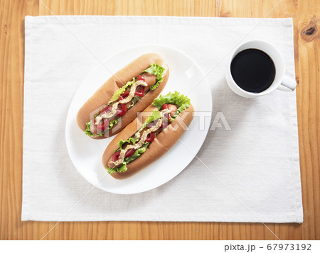 ホットドッグ 67973192