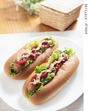 ホットドッグ ホットドッグ 67973196