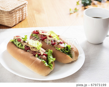 ホットドッグ ホットドッグ 67973199