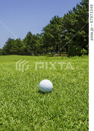 ゴルフコース ゴルフ場 ゴルフイメージ ラフ の写真素材