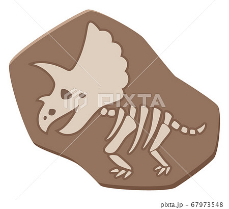 かわいい恐竜の化石のイラスト トリケラトプスのイラスト素材 67973548 Pixta