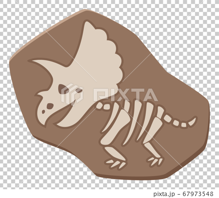 かわいい恐竜の化石のイラスト トリケラトプスのイラスト素材