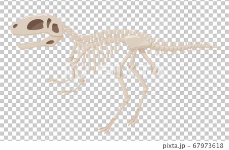 Illustration Of Fossil Dinosaur Fukuisaurus Stock Illustration