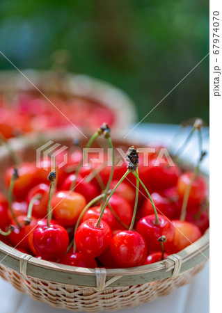 サクランボ さくらんぼの写真素材 [67974070] - PIXTA