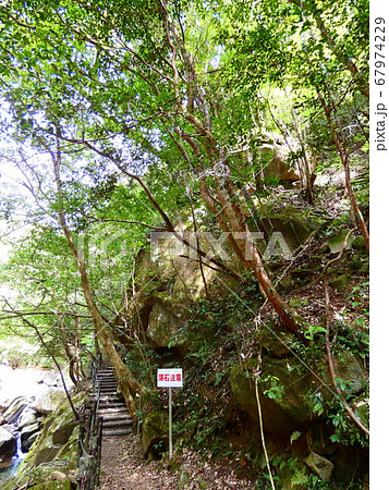 猪八重渓谷 67974229