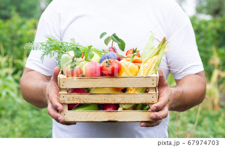 Farmer holding wooden crate full of fresh organic fruits and vegetables. Eco food concept Farmer holding wooden crate full of fresh organic fruits and vegetables. Eco food concept 67974703