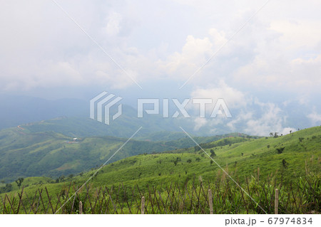 view of landscape is green grass on nature 67974834