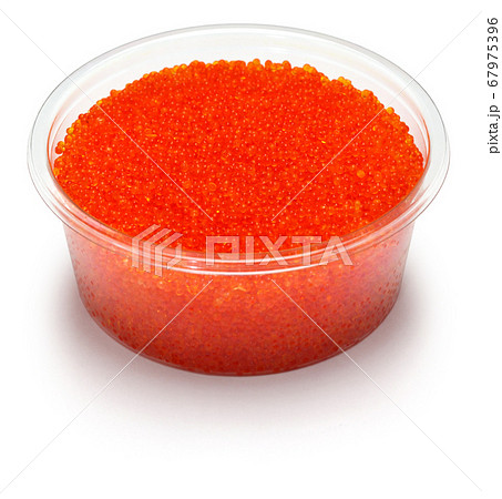 とびこ とびこ 67975396