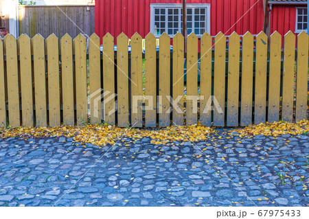 Picked Yellow Fence Picked Yellow Fence 67975433