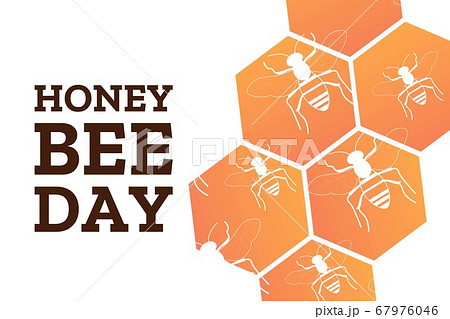 National Honey Bee Day. August 15. Holiday concept. Template for background, banner, card, poster 67976046