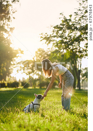 Young woman feeding french bulldog in park. 67976843