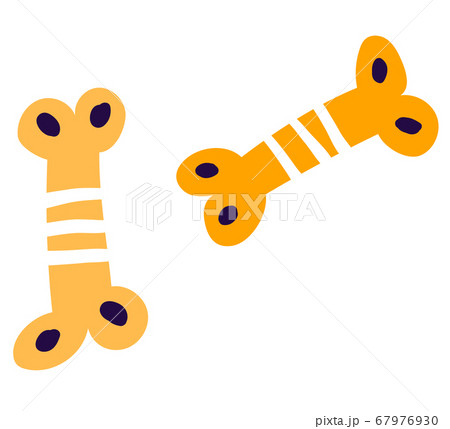Dog foodstuff icon, concept label hound plaything stuff toy bone, two skeleton tibial item isolated on white, flat vector illustration. 67976930