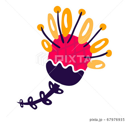 Yellow And Red Flower Spring Blossom Grow Up のイラスト素材 67976935 Pixta