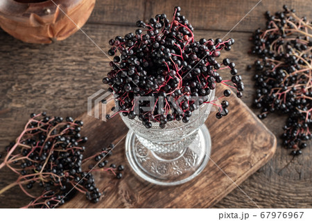 Black elder berries in a glass cup Black elder berries in a glass cup 67976967