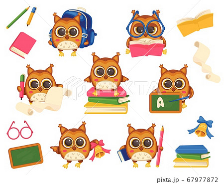 Vector set of cute smart school owls. 67977872