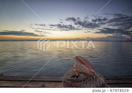 Idyllic view  67978029