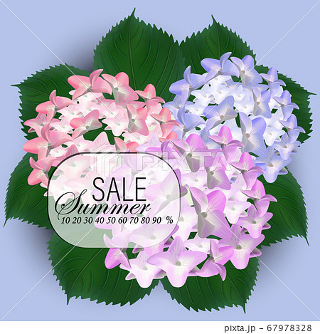 Beautiful purple flower of hydrangea. Wedding Card and engagement announcement. Invitation card template with orange blooming hydrangea over gray background. Vector illustration. Beautiful purple flower of hydrangea. Wedding Card and engagement announcement. Invitation card template with orange blooming hydrangea over gray background. Vector illustration. 67978328