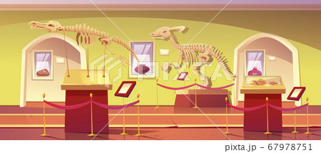 Museum of history with dinosaur skeleton artifacts 67978751