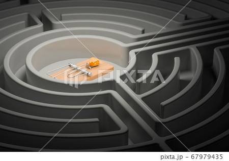 Mousetrap with cheese inside labyrinth maze 67979435