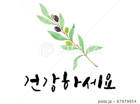 ハングルの ハングル オリーブ 67979954