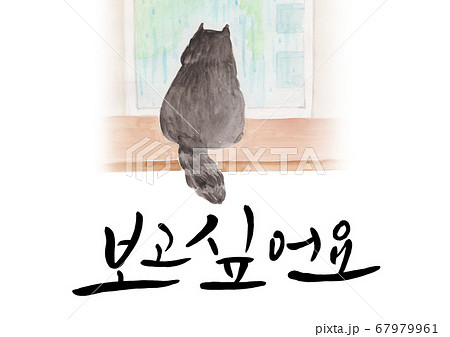 ハングルの ハングル 猫 67979961