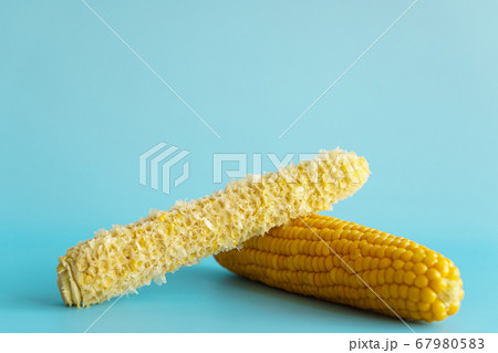 Whole and empty corn cob. Maize. Zea mays. Two boiled corncobs. One with delicious yellow-golden sweetcorn grains and the other gnawed. Organic food with dietary fiber. Isolated on blue background. 67980583