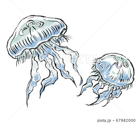 泳ぐ2匹のミズクラゲの仲間 版画風のイラスト素材 67982000 Pixta