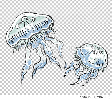 A print-style companion of two water jellyfish swimming 67982000