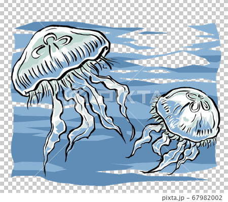 兩個游泳水母同伴畫筆繪畫和磨砂背景 67982002