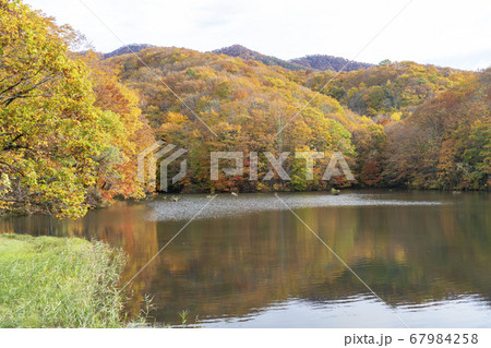 裏磐梯の秋　曲沢沼 67984258
