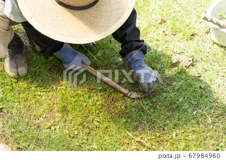 庭の芝刈り 67984960