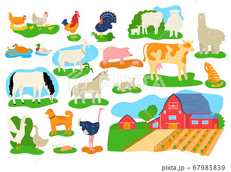 Farm domestic animals icons set isolated vector illustrations. Cow, horse, pig, goat and sheep, chicken, bull and rabbits. Barn building at farm. Farm domestic animals icons set isolated vector illustrations. Cow, horse, pig, goat and sheep, chicken, bull and rabbits. Barn building at farm. 67985839