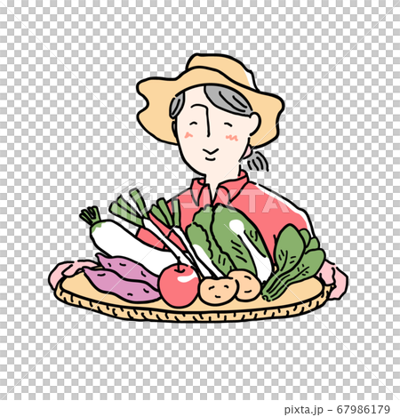 採れたて野菜を抱えた女性その2 67986179