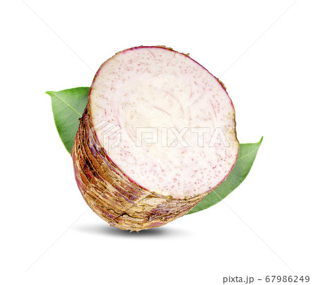 Taro, sliced of taro isolated on white background 67986249