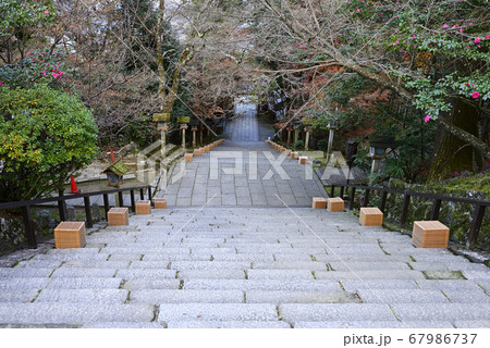 虚空蔵法輪寺　秋の紅葉 67986737